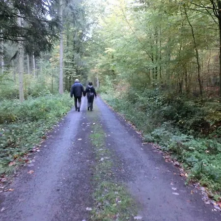 Am Gruenen Band *